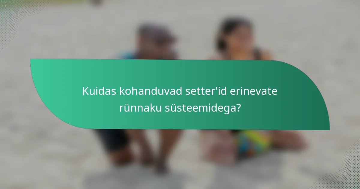 Kuidas kohanduvad setter'id erinevate rünnaku süsteemidega?