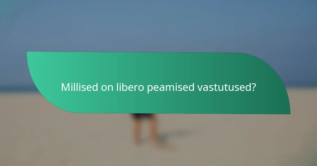 Millised on libero peamised vastutused?