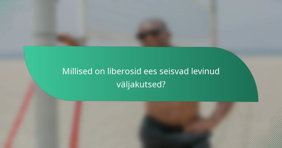 Millised on liberosid ees seisvad levinud väljakutsed?