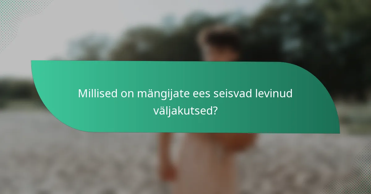 Millised on mängijate ees seisvad levinud väljakutsed?