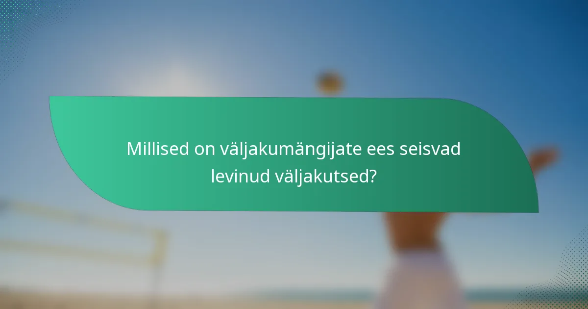 Millised on väljakumängijate ees seisvad levinud väljakutsed?